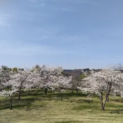 ロマンパーク八甲田山展望台