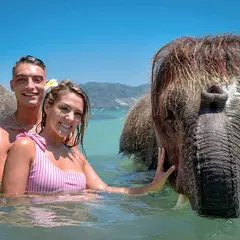 Elephant Swims @Lucky Beach, Tri Trang