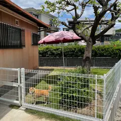 ジャスパー、ペットホテル