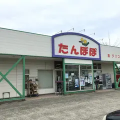 全日食チェーンたんぽぽ