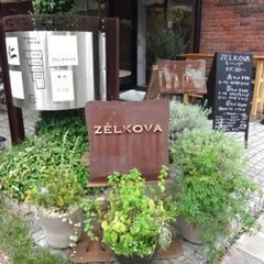 ZELKOVA