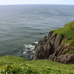 尻羽岬