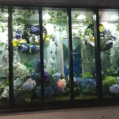 コーチャンフォー釧路店