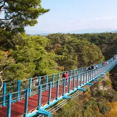 소금산 출렁다리