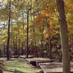Geommasan Recreational Forest