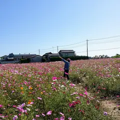 羽生