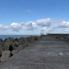 ハッピーフィッシング新潟東港第２東防波堤管理釣り場