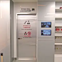 Fresh plastic surgery