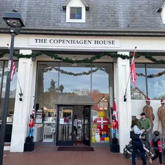 THE COPENHAGEN HOUSE