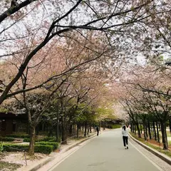 ポラメ公園