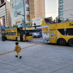 Seoul City Tour Double-Decker Bus
