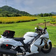 ウチノ海総合公園 駐車場