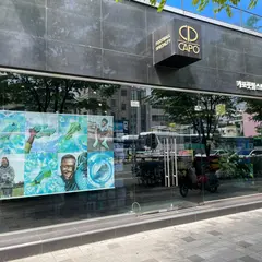 CAPO FOOTBALL STORE SEOKCHON