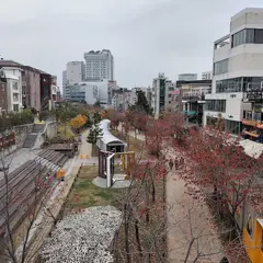 Gyeongui Line Book Street