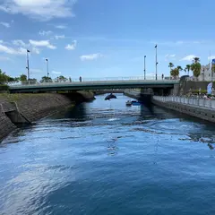 かごしま水族館 イルカ水路