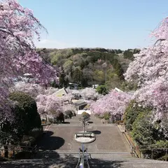 入間メモリアルパーク