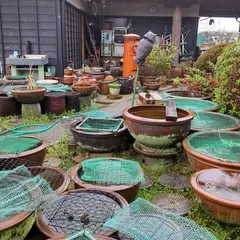 つるた陶磁器センター