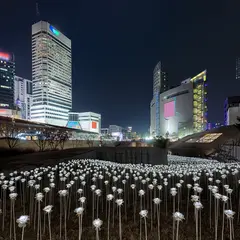 Seoul MG Hotel Jonggak