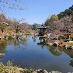 Garden of Morning Calm