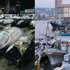 九州中央魚市株式会社 鹿児島市場