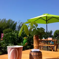自然の森コーヒー