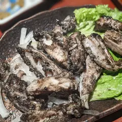 がんたれ