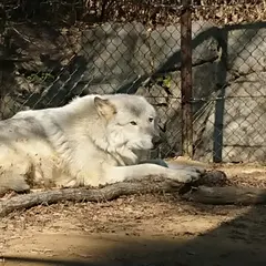 徳島市総合動植物公園