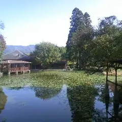 池の山キャンプ場