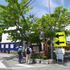 上石田のサイカチ