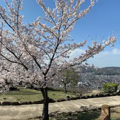 亀島山花と緑の丘公園