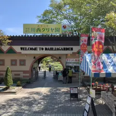 川西ダリヤ園