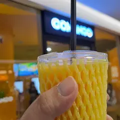 고망고 DDP점