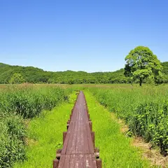 計呂地サンゴ草群生地