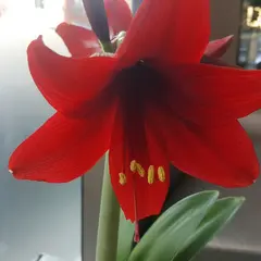 김혜정미용실