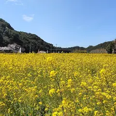 七ツ釜鍾乳洞駐車場