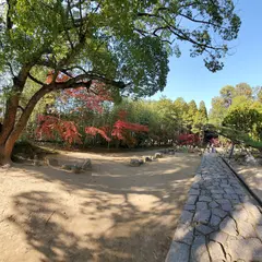 曹源寺