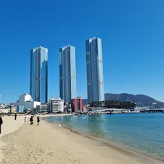 Brown-Dot Songdo Beach