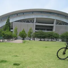 ノエビアスタジアム神戸 芝生広場