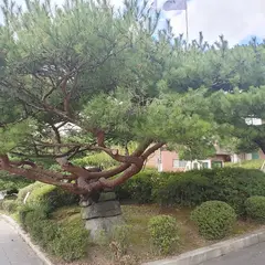 국립현대미술관 과천 옥상정원