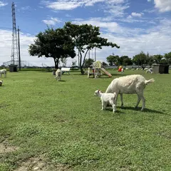 マウイ牧場