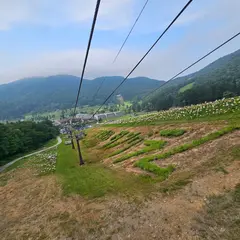 野尻湖テラス観光リフト
