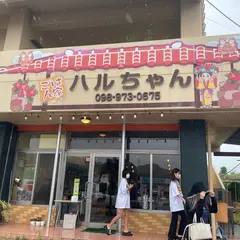ごはん家ハルちゃん