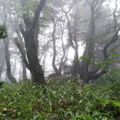 比婆山御陵