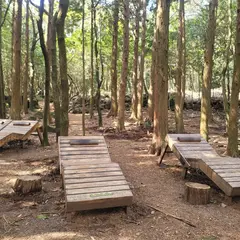 西帰浦 治癒の森
