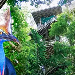 Daintree Discovery Centre