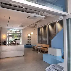 논스케일드