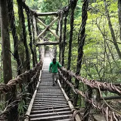 奥祖谷二重かずら橋 男橋