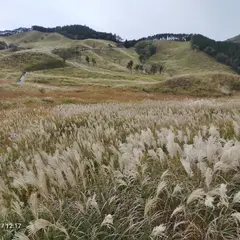 砥峰高原