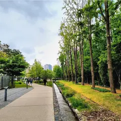 京義線森の道公園