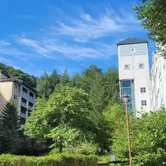 Phoenix Pyeongchang Euros Villa